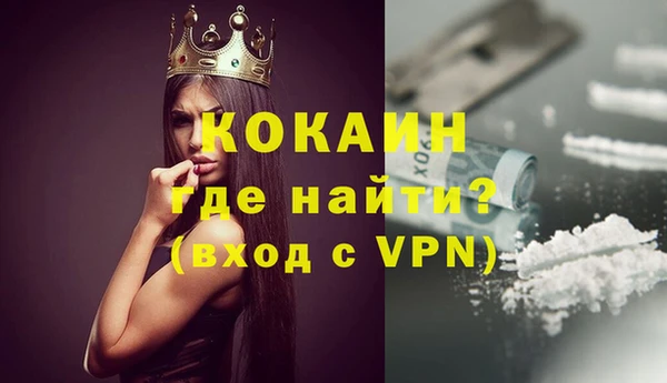 сатива Заводоуковск