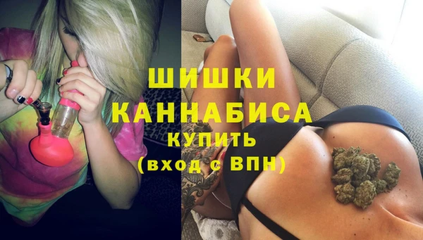 сатива Заводоуковск