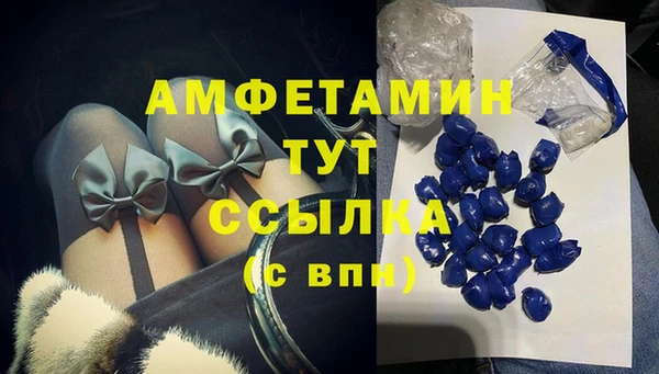сатива Заводоуковск