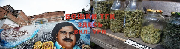 сатива Заводоуковск