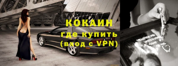 сатива Заводоуковск